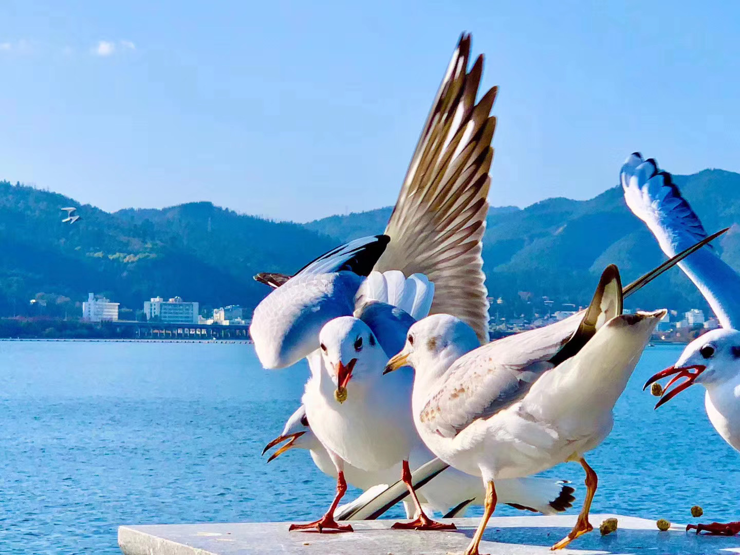 2020云南省戶外運(yùn)動行業(yè)交流大會于2020年1月12日在昆明龍騰大酒店隆重舉行