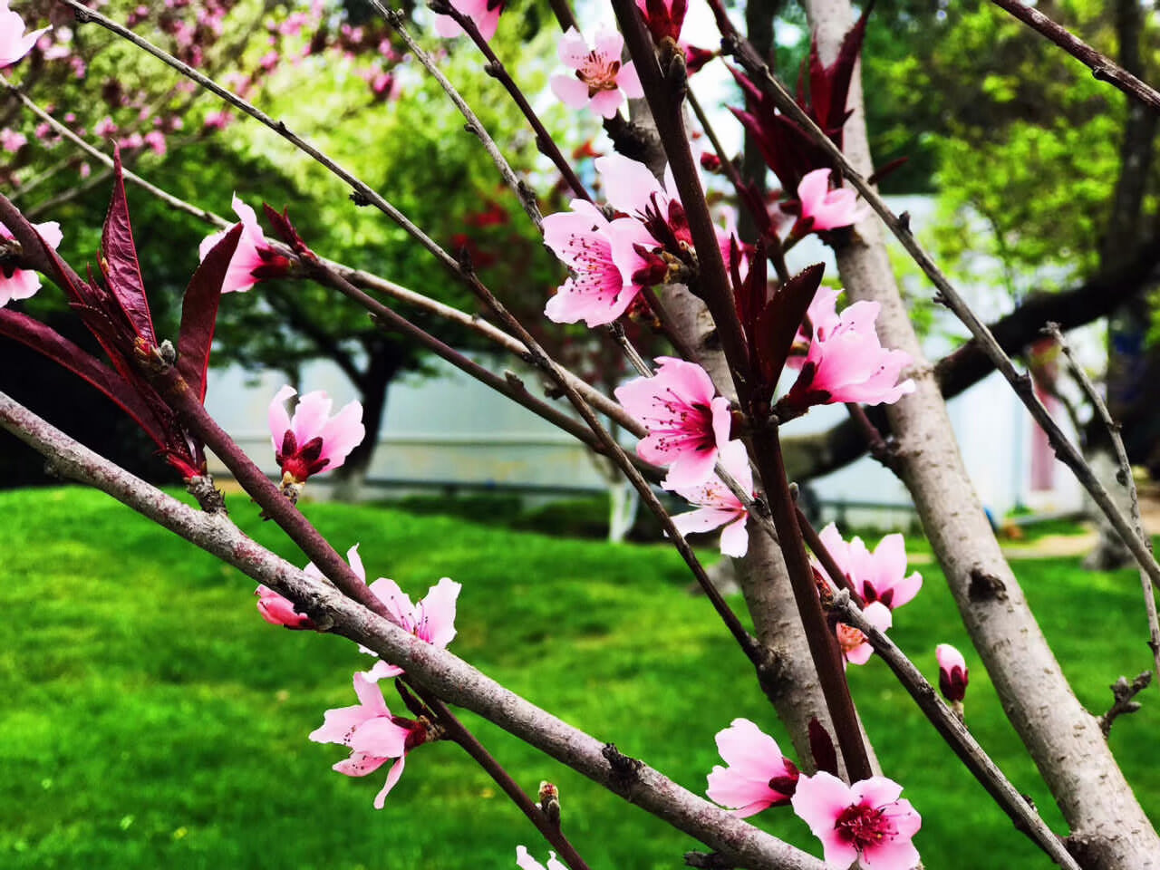 昆明員工活動團建 昆明員工活動團建