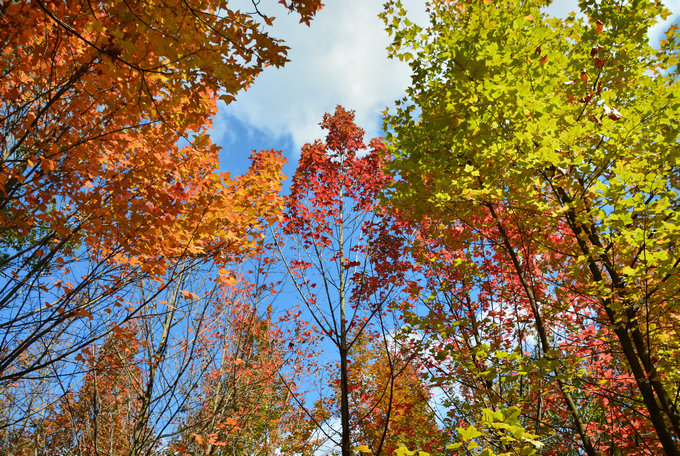 昆明員工活動團建 昆明員工活動團建