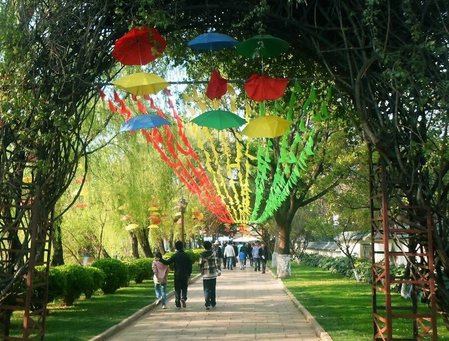 大觀公園拓展基地 大觀公園拓展基地