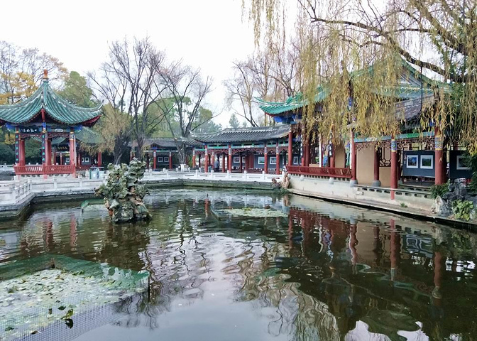 翠湖公園拓展基地 翠湖公園拓展基地