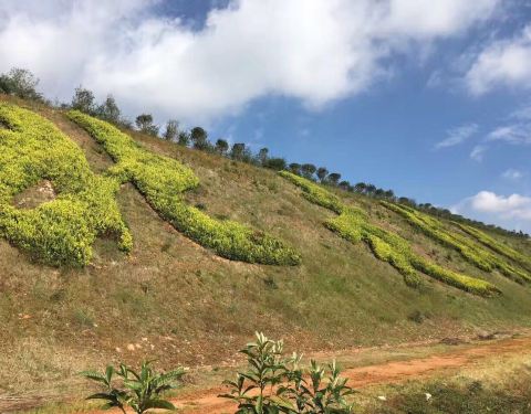 昆明長蟲山 昆明長蟲山