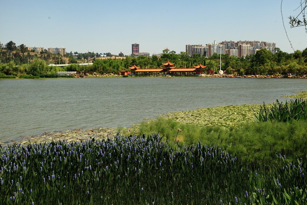 洛龍湖公園 洛龍湖公園