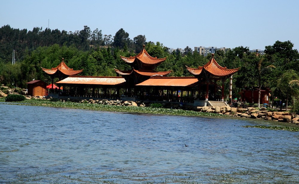 洛龍湖公園 洛龍湖公園