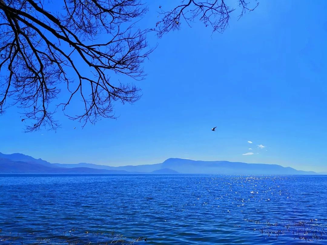 昆明研學旅行 昆明研學旅行