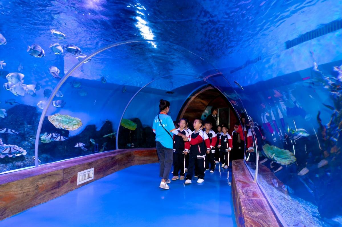 昆明·花都海洋世界 昆明·花都海洋世界