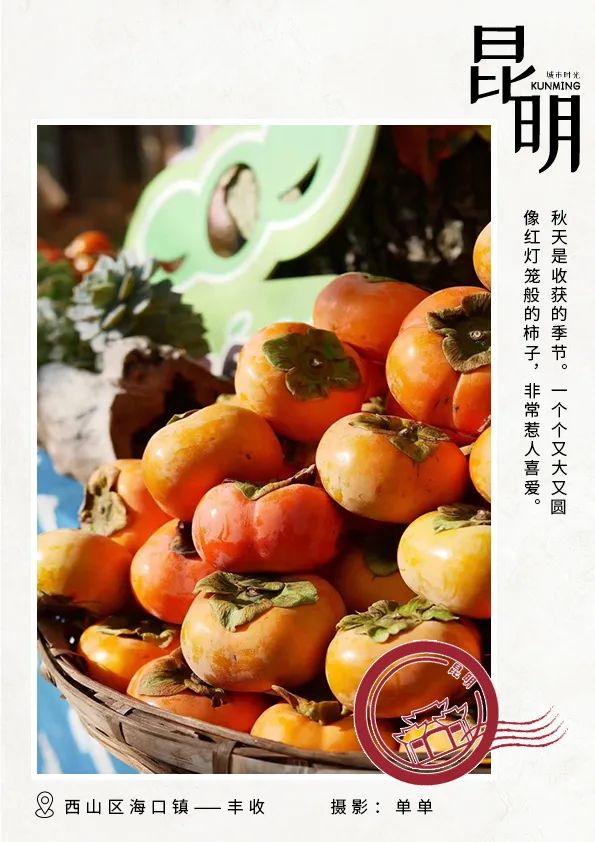 昆明旅游 昆明旅游