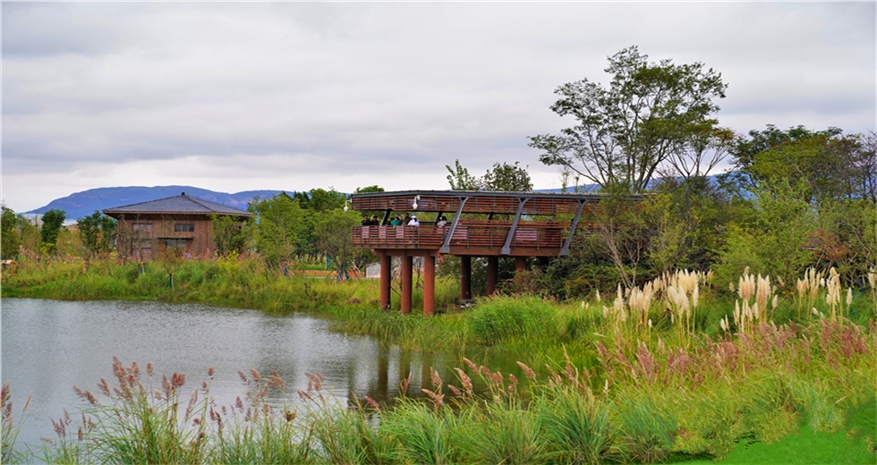 昆明觀鳥 昆明觀鳥