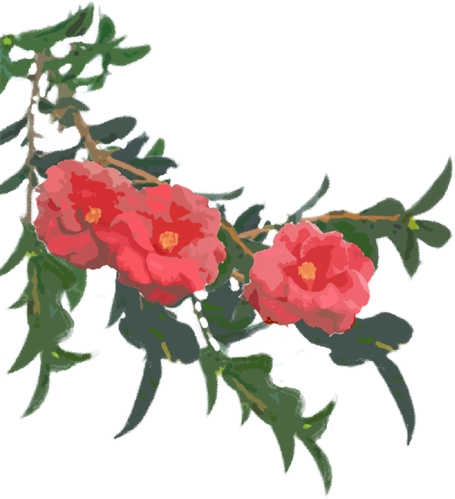 昆明旅游 昆明旅游