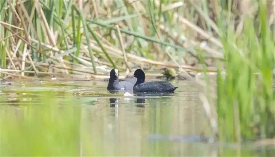 昆明定制旅游 昆明定制旅游