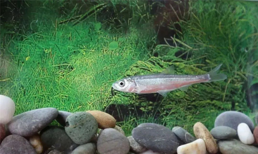 昆明定制旅游 昆明定制旅游