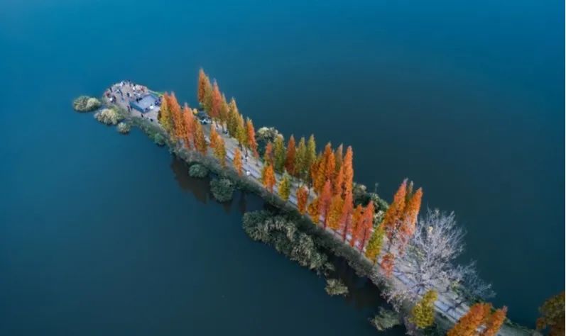 昆明旅游 昆明旅游