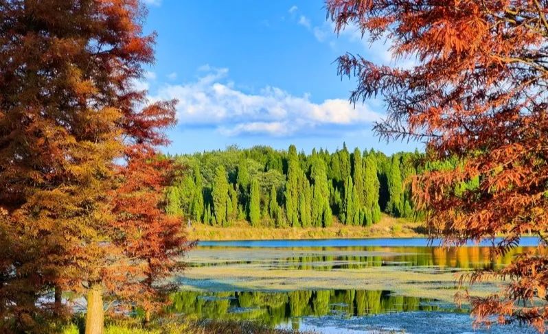 昆明旅游 昆明旅游