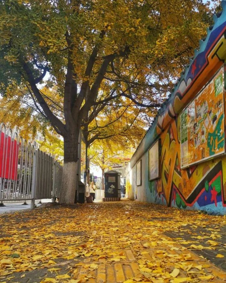 昆明旅游 昆明旅游