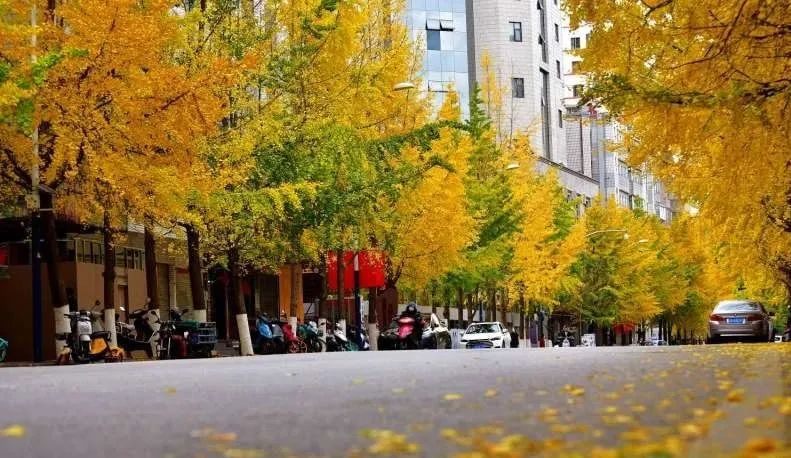 昆明旅游 昆明旅游