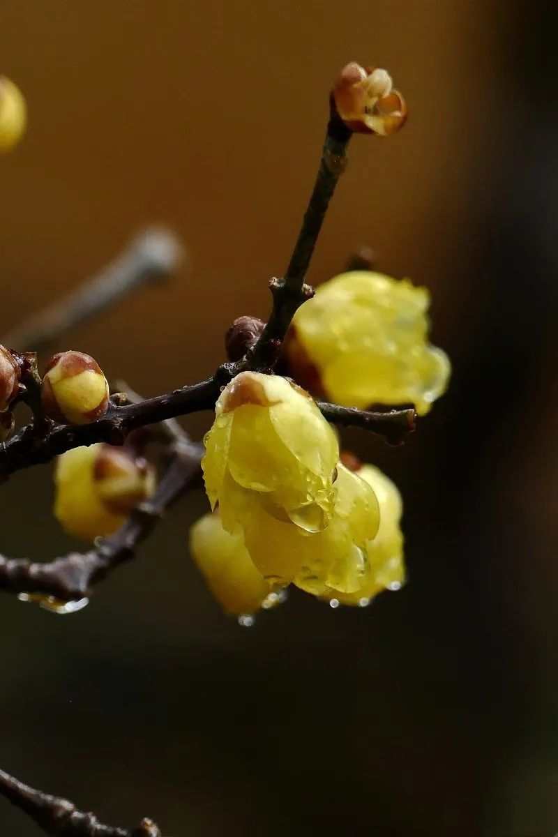 昆明旅游 昆明旅游