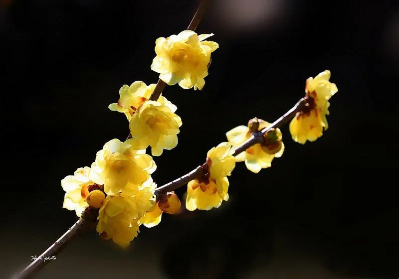 昆明旅游 昆明旅游