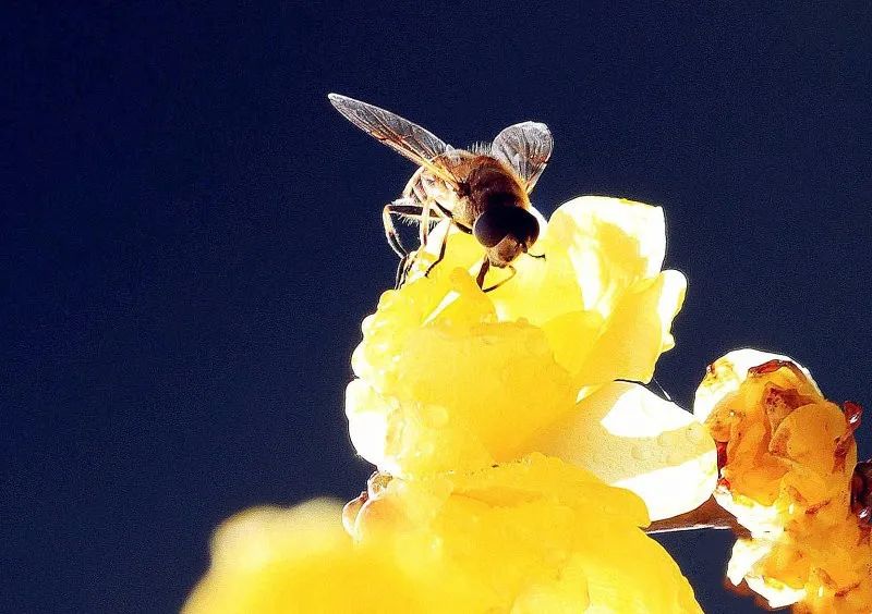 昆明旅游 昆明旅游