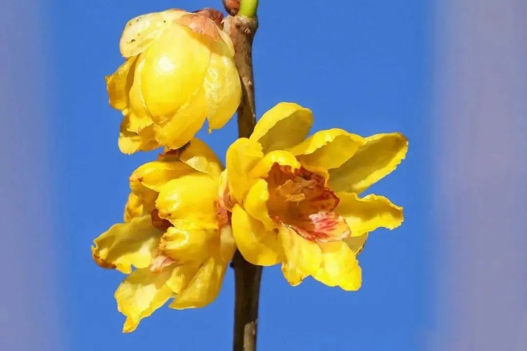 昆明旅游 昆明旅游