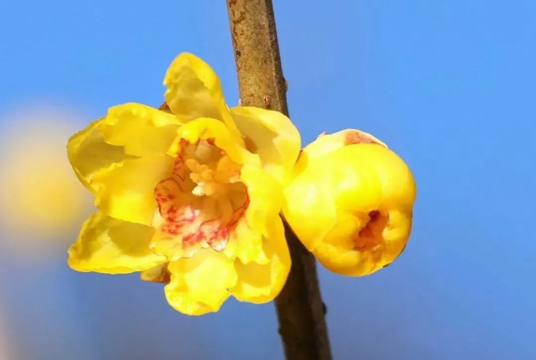 昆明旅游 昆明旅游