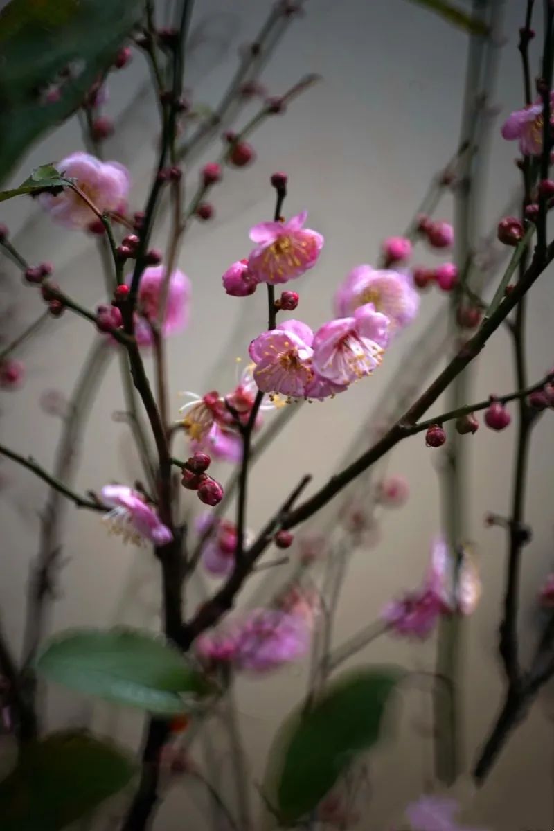 昆明旅游 昆明旅游