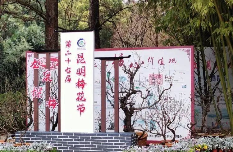 昆明旅游 昆明旅游