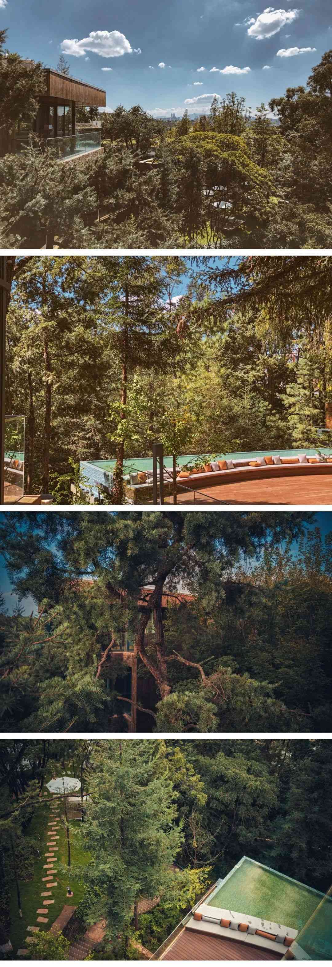 創意綠色 創意綠色