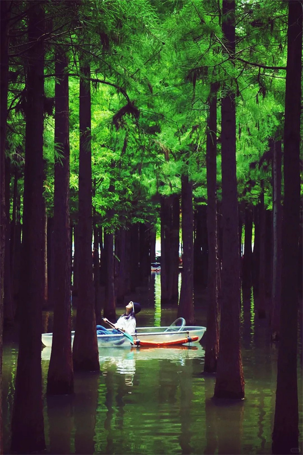 云南旅游,云南旅行社,云南團(tuán)建公司,云南策劃公司,云南會(huì)議會(huì)展,昆明旅游,昆明旅行社,昆明團(tuán)建公司,昆明策劃公司：下午四點(diǎn)的撈漁河森林游船 真是人類(lèi)光合作用必去清單